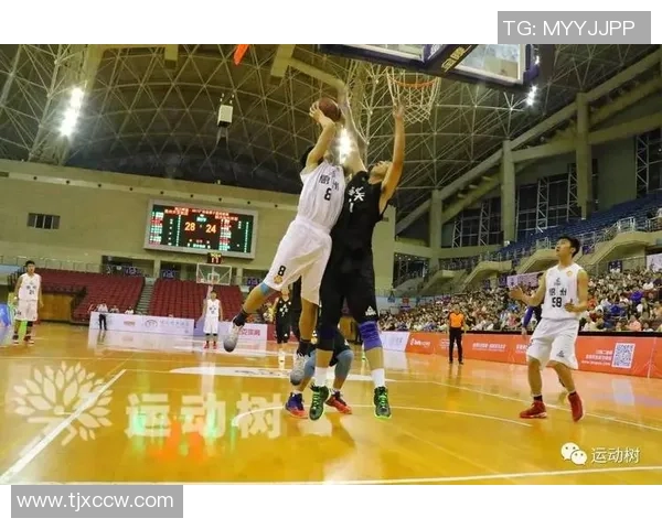 重庆篮球队状态变革引发热议球迷期待新赛季表现提升